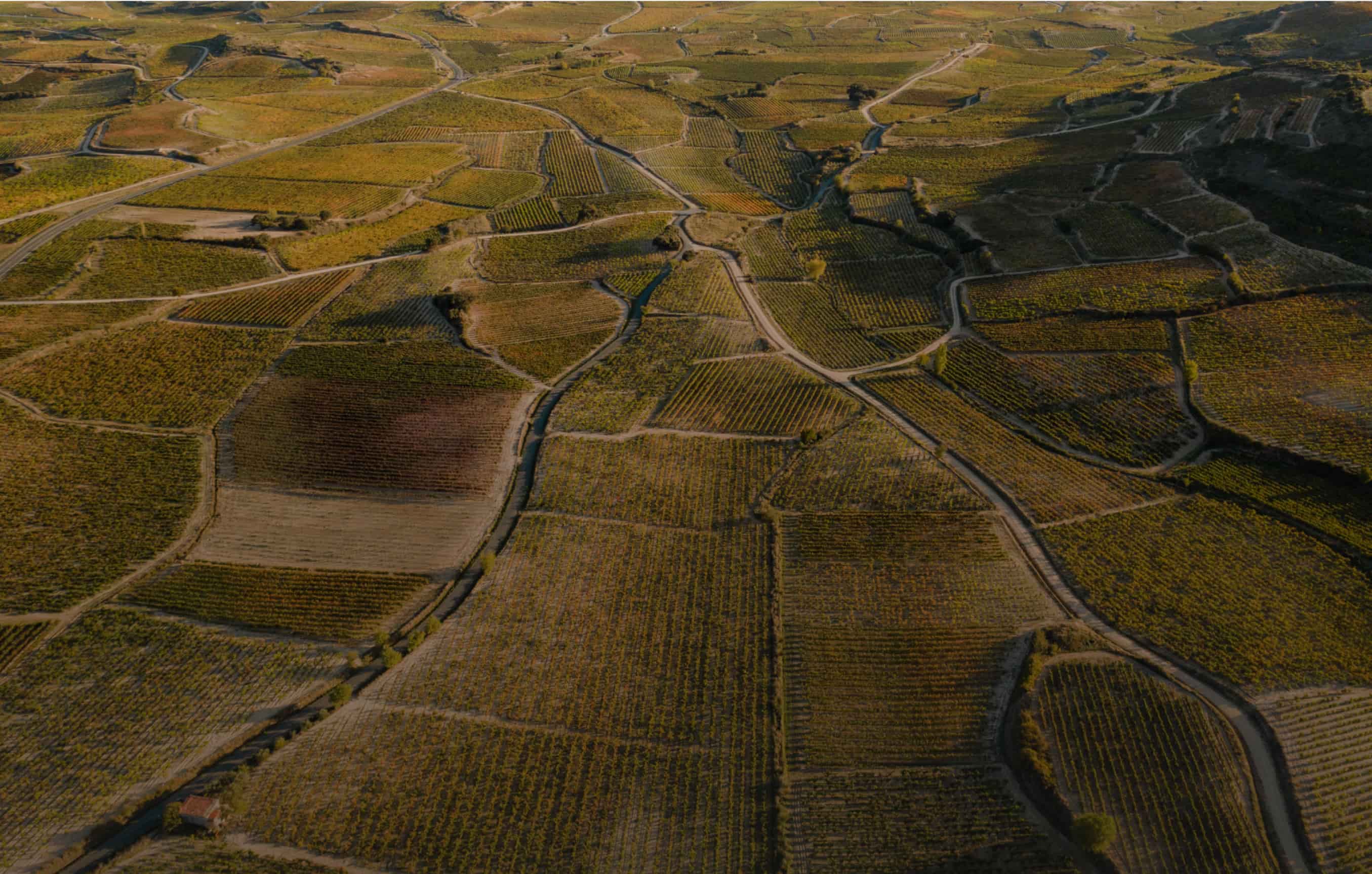 Araex Grands es un grupo empresarial de viticultores y bodegas independientes que agrupa bodegas familiares de las Denominaciones de Origen más prestigiosas de España y que lleva más de 25 años llevando el mejor vino español al mundo.